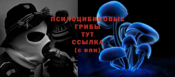твердый Абаза