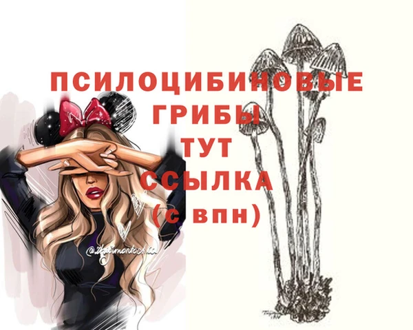 мет Абинск